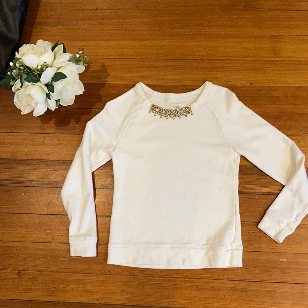Crewcuts sweater / sweatshirt sz 14 girls